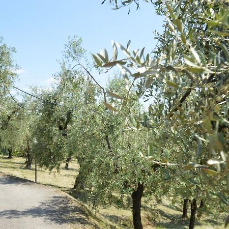 Il Podere di Tacito Montecatini-Terme Esterno foto