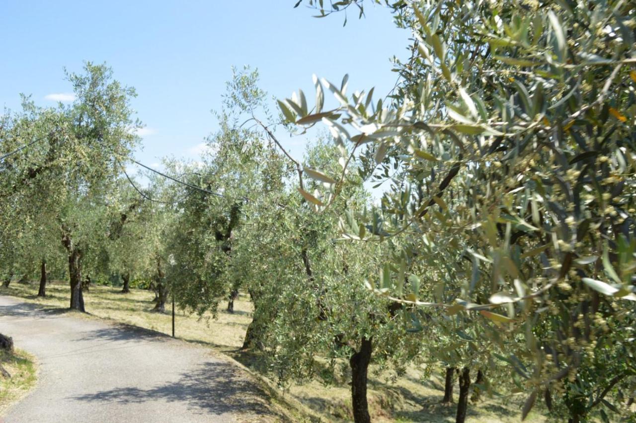 Il Podere di Tacito Montecatini-Terme Esterno foto